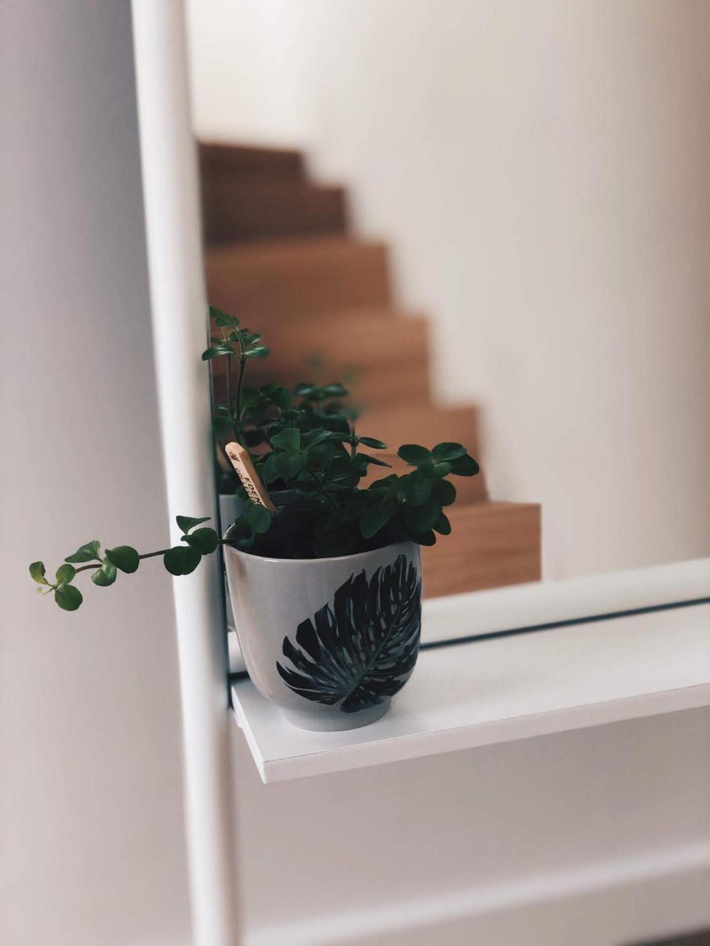 Penthouse La Naturale Zeezicht Apartamento *